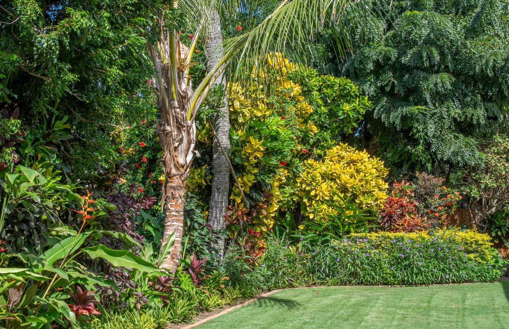 Napili Surf Beach Resort By Castle Kapalua Buitenkant foto