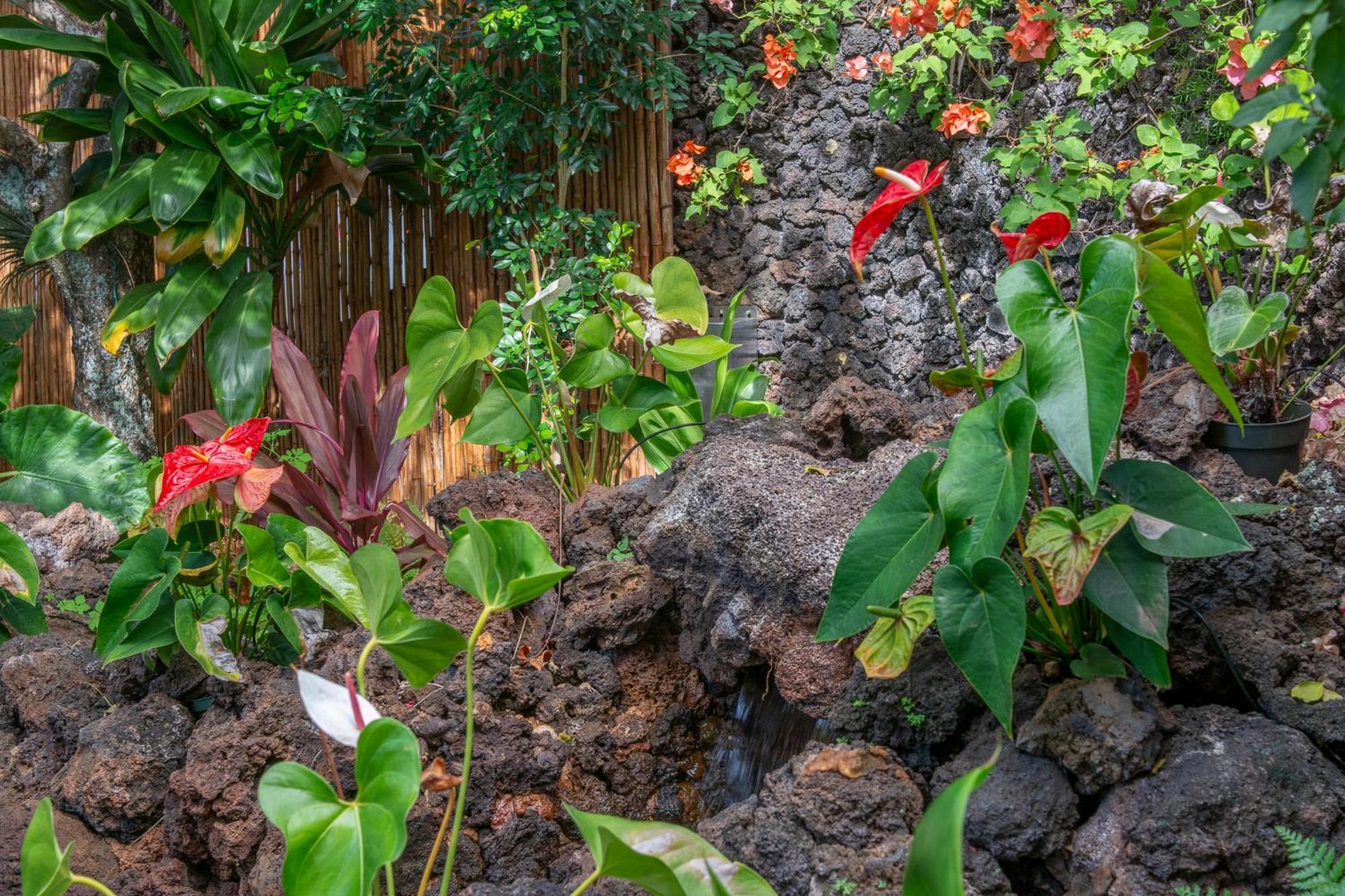 Napili Surf Beach Resort By Castle Kapalua Buitenkant foto