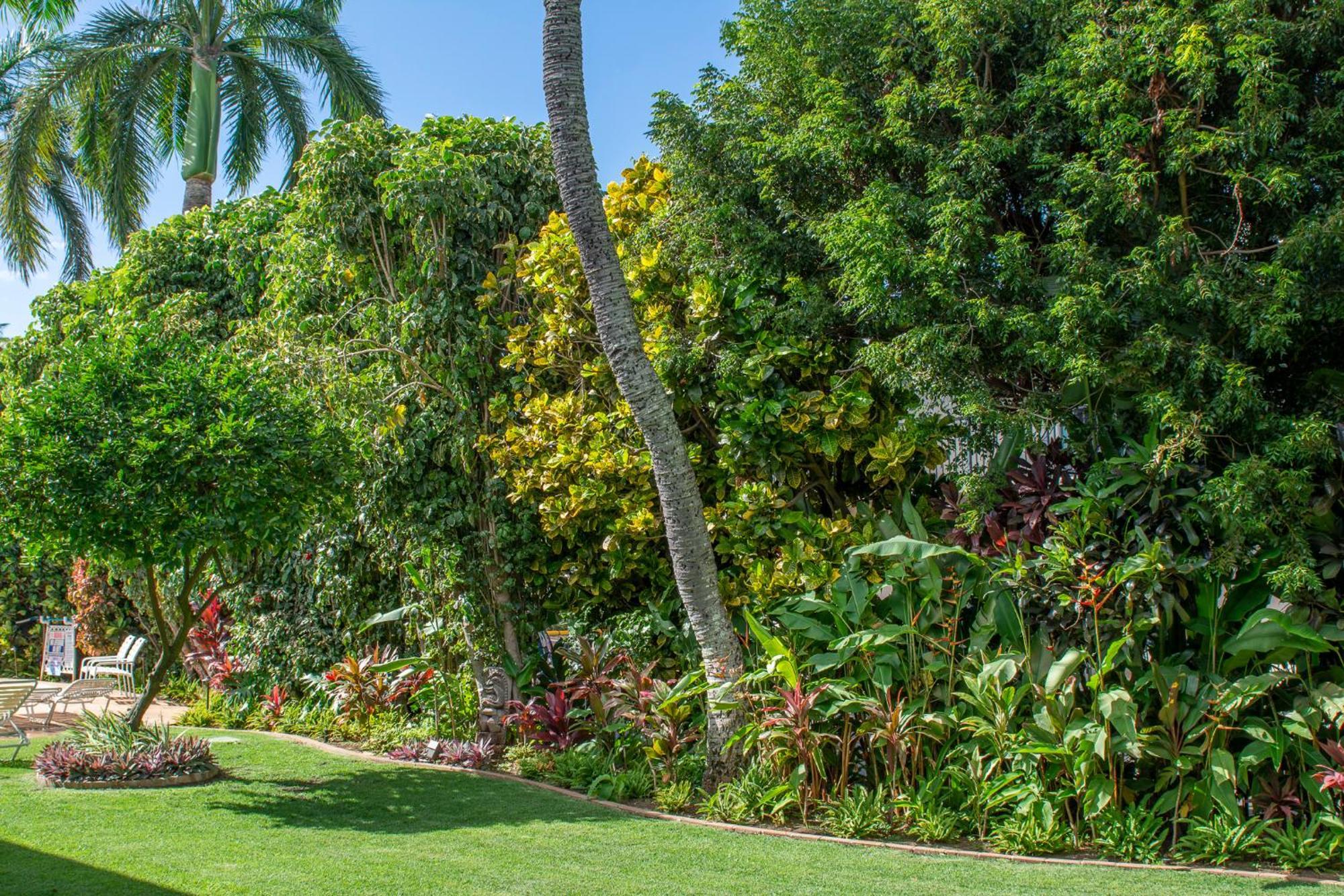 Napili Surf Beach Resort By Castle Kapalua Buitenkant foto